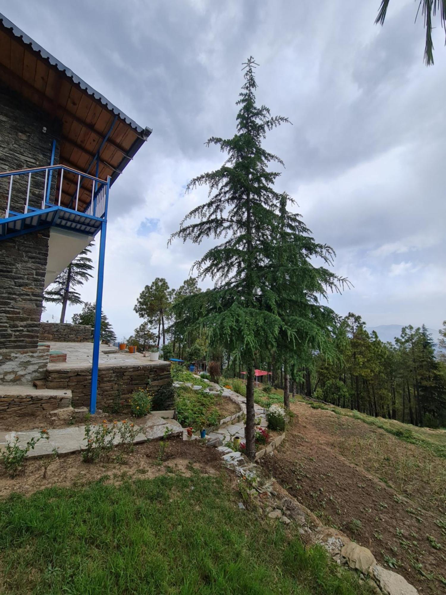 The Roots Homestay Almora Ngoại thất bức ảnh